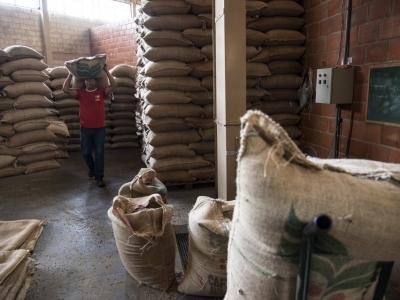 Brasil: Xuất khẩu cà phê tháng 5/2020 tăng 5,2% so với cùng kỳ
