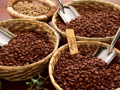 Giá cà phê hôm 9/10: Arabica tiếp tục tăng mạnh, Robusta lừng khừng khi mưa lớn kéo dài ở Tây Nguyên