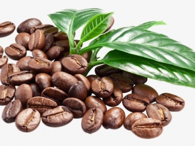 Giá cà phê hôm 9/11: Nghịch lý của thị trường cà phê, giá Robusta đã chạm đỉnh?