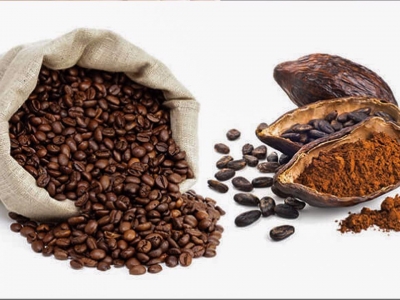 Giá cà phê hôm 29/8: Cuộc chiến giữa lãi suất và tồn kho
