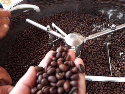 Giá cà phê hôm 4/11: Giảm sâu, có thể bị ép xuống dưới 40.000 đồng/kg