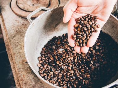 Giá cà phê hôm 09/2: Tồn kho Arabica tăng nhanh, trong nước gần 44.000 đồng/kg